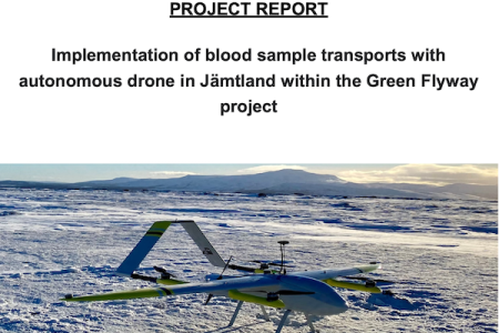 Project report